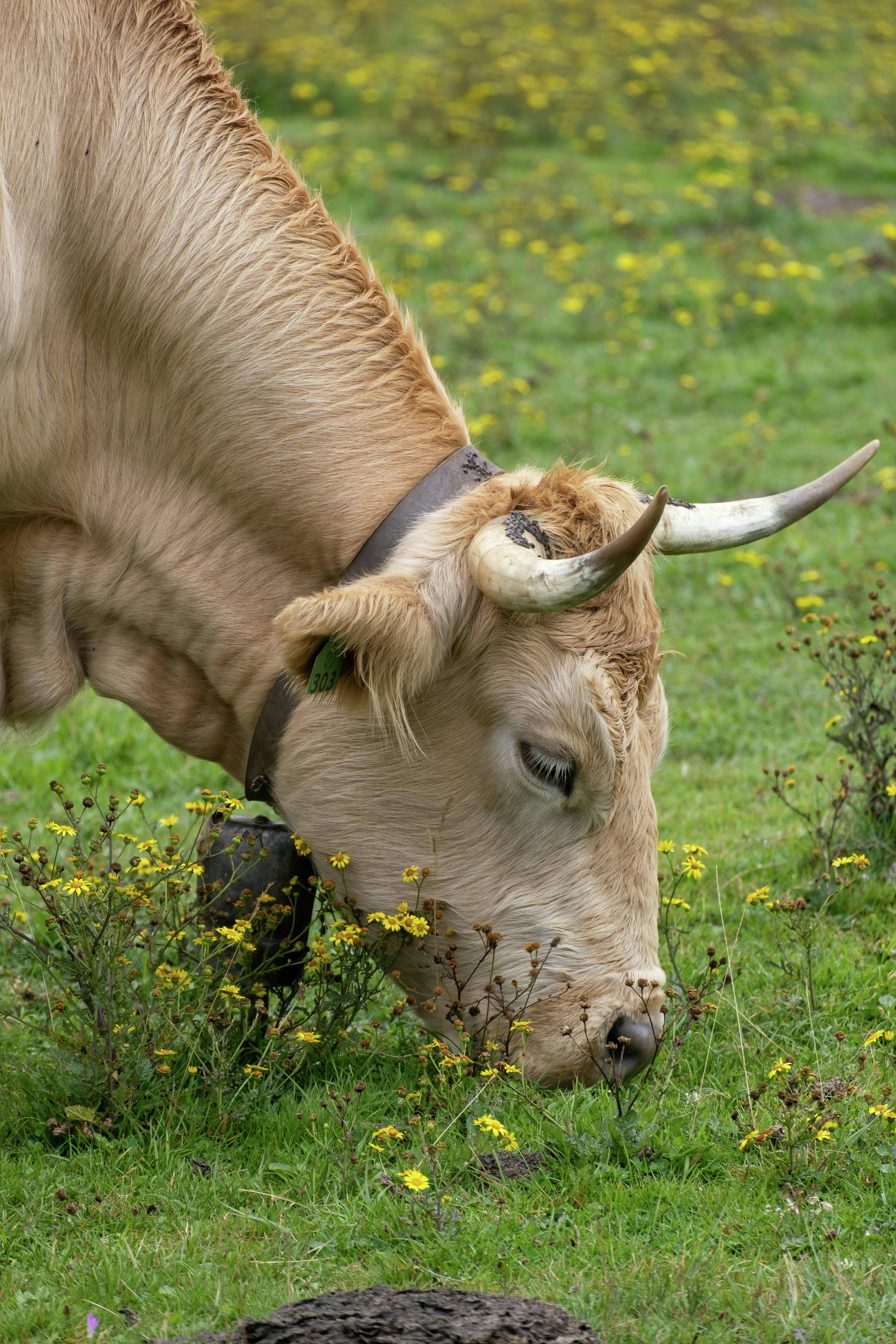 Party for Two with Bob Richardson | Ford Backs Carney's Auto Strategy | Martyn Burke’s New Novel | Telescopic Tuesday | Neighbour Dilemma