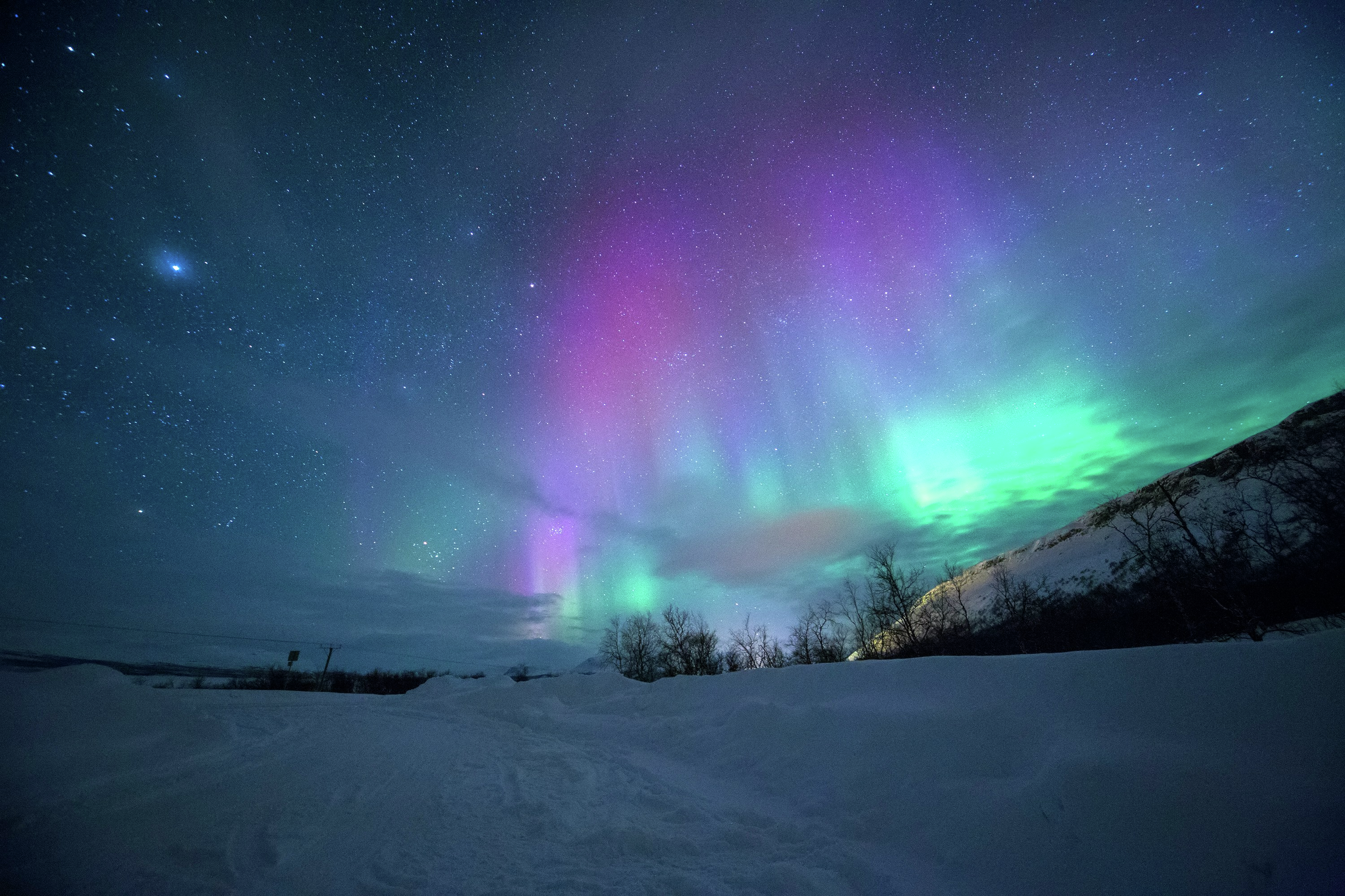 Party for Two - Blacklocks - Will Toronto see the Northern Lights Tonight?