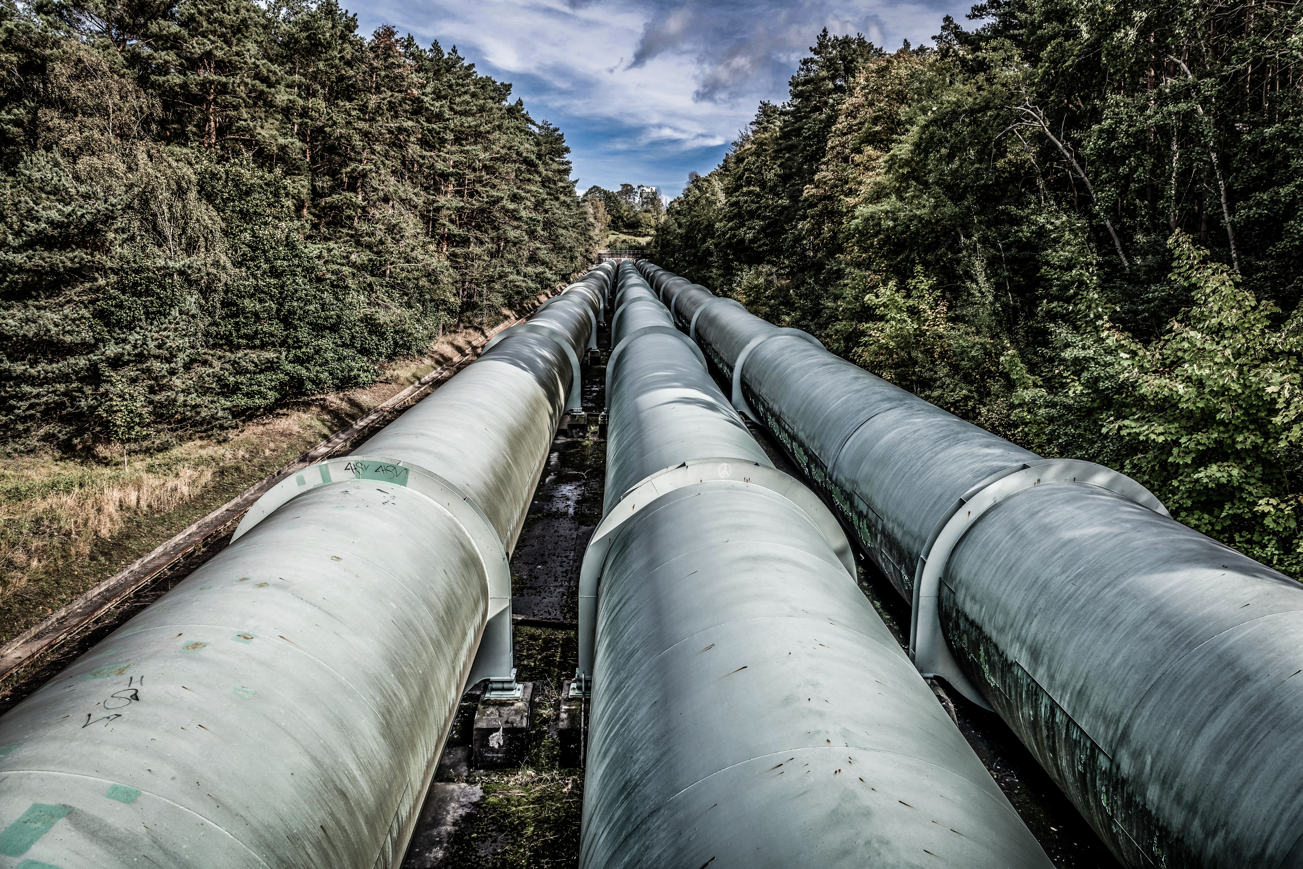Political Tone | Alberta-Ontario Pipeline | Best Before Dates | Toronto Mayoral Race Polling