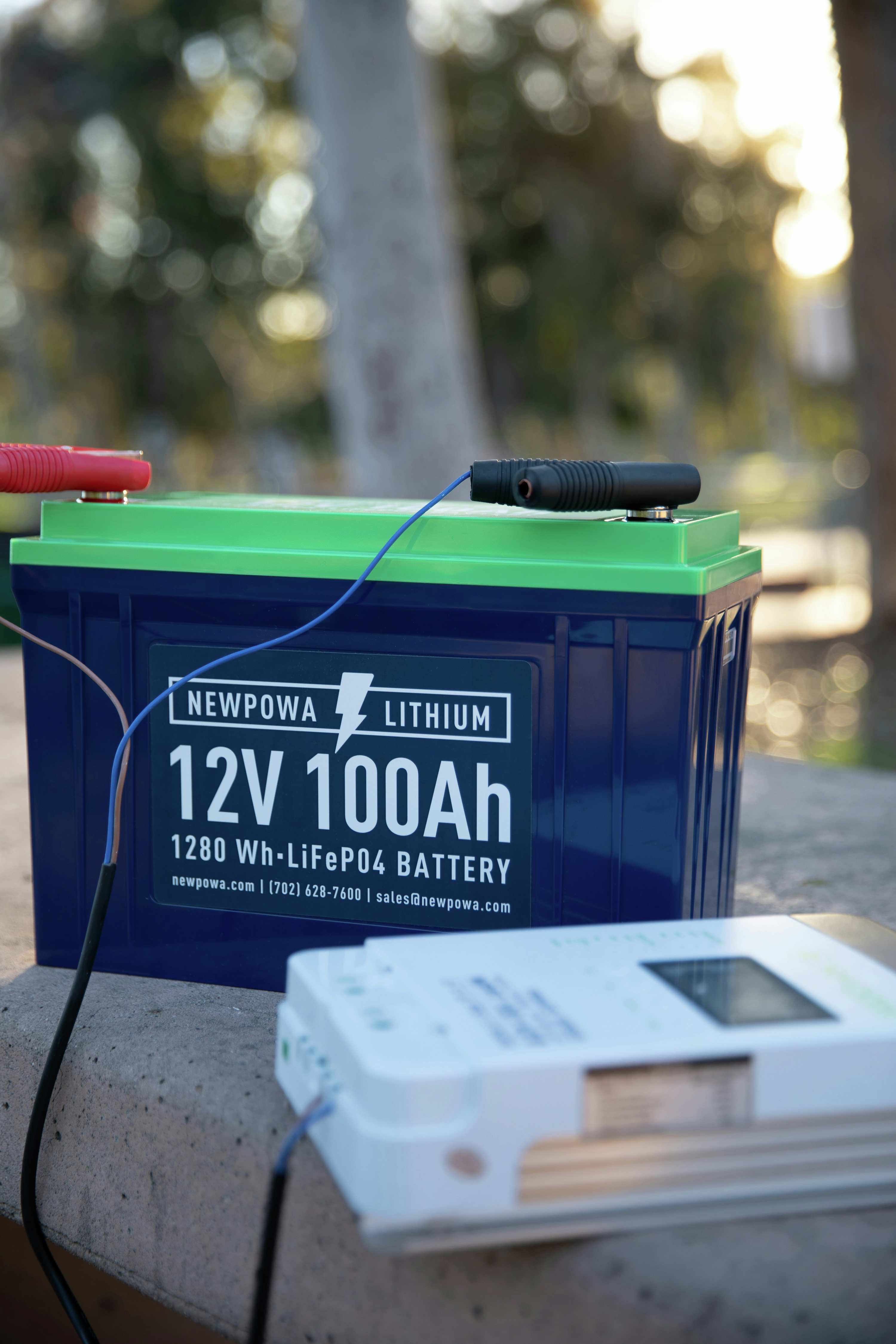 Party for Two - Lithium-ion battery risks - The Blacklock's report - Blue Jays & Maple Leafs