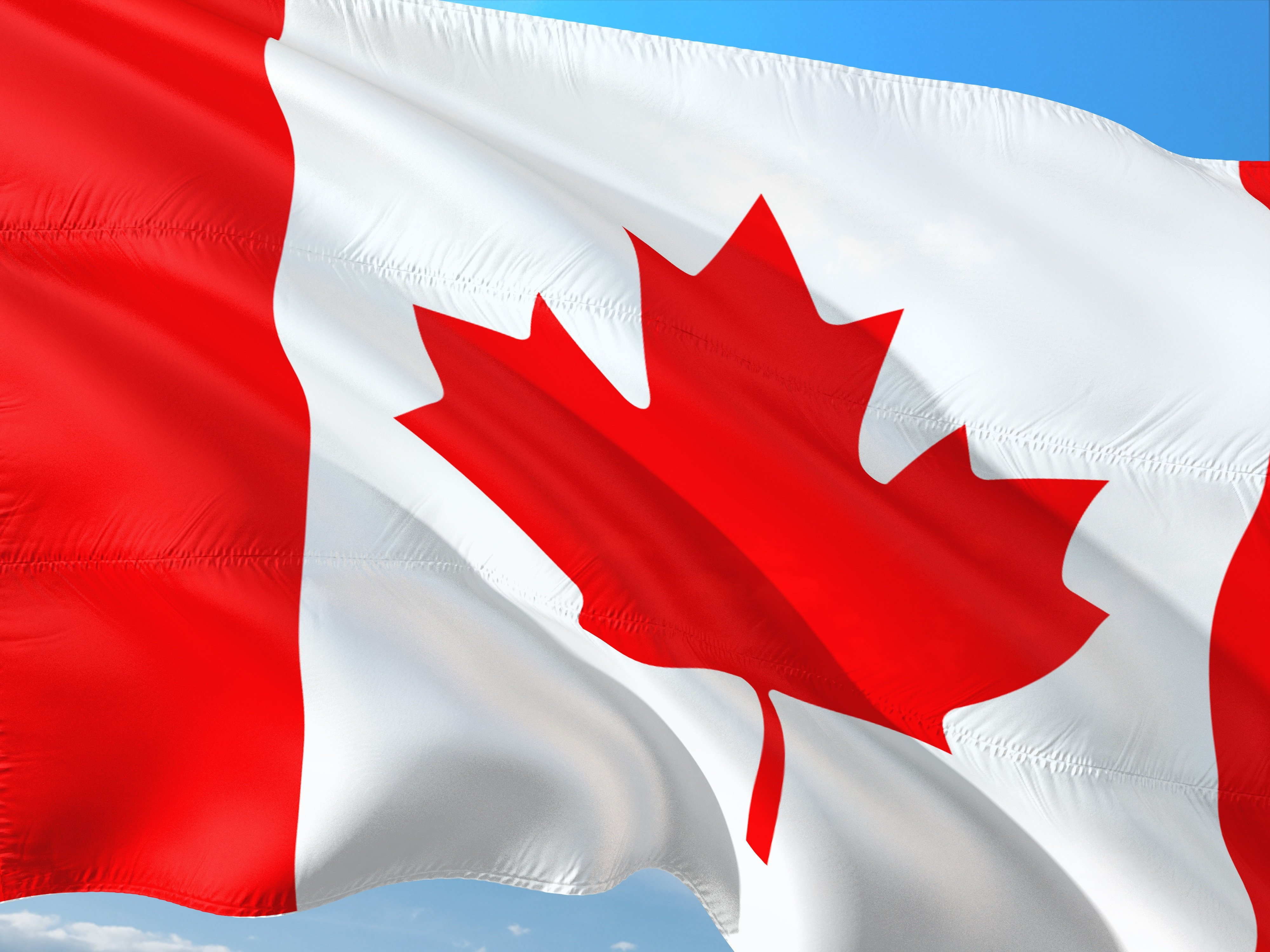 Island Airport Politics | Giant Flags | Branding & Dupes | Condo Board Rules