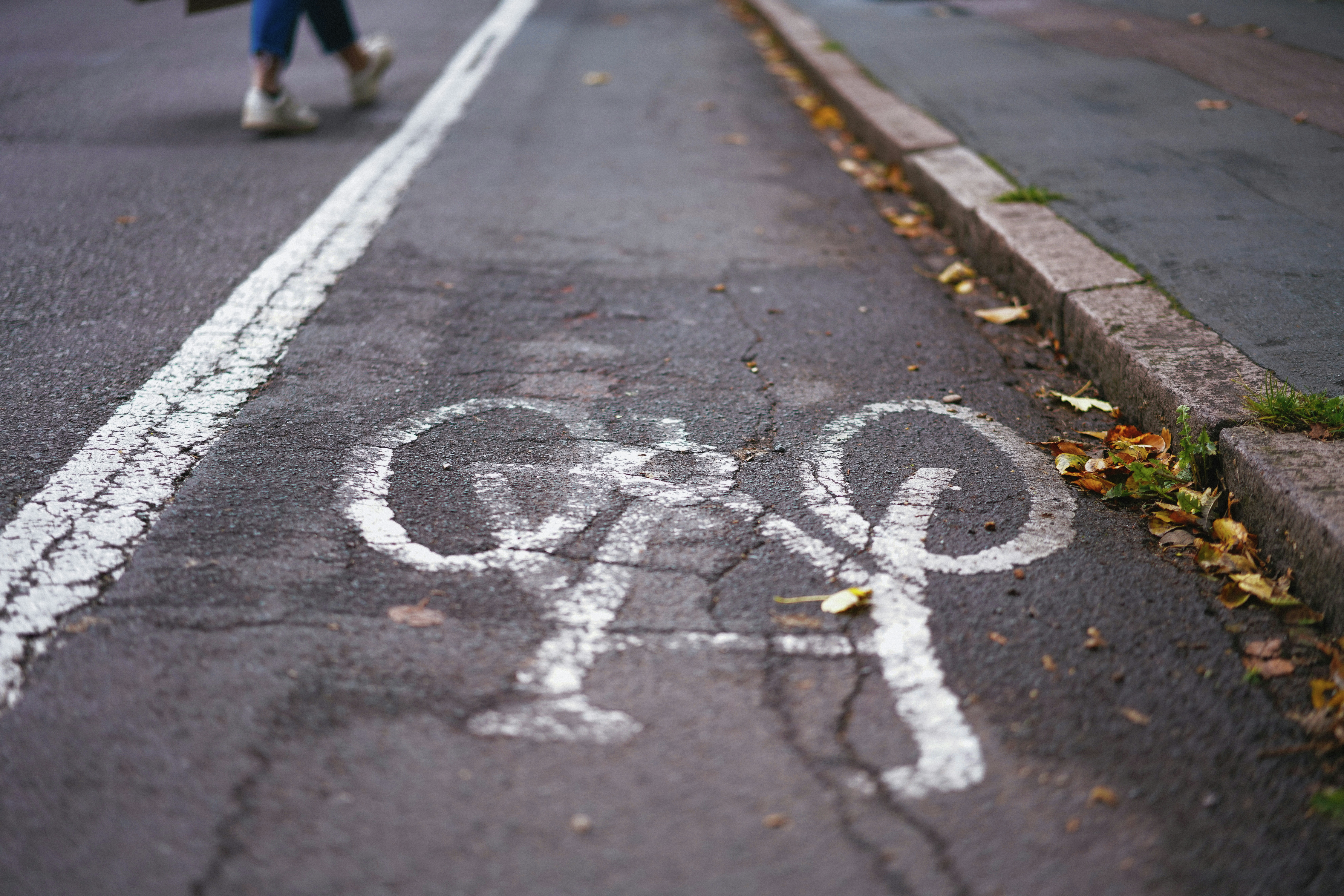 School Choice - Interest Rates - Bloor West Bike Lanes - How do you splurge?