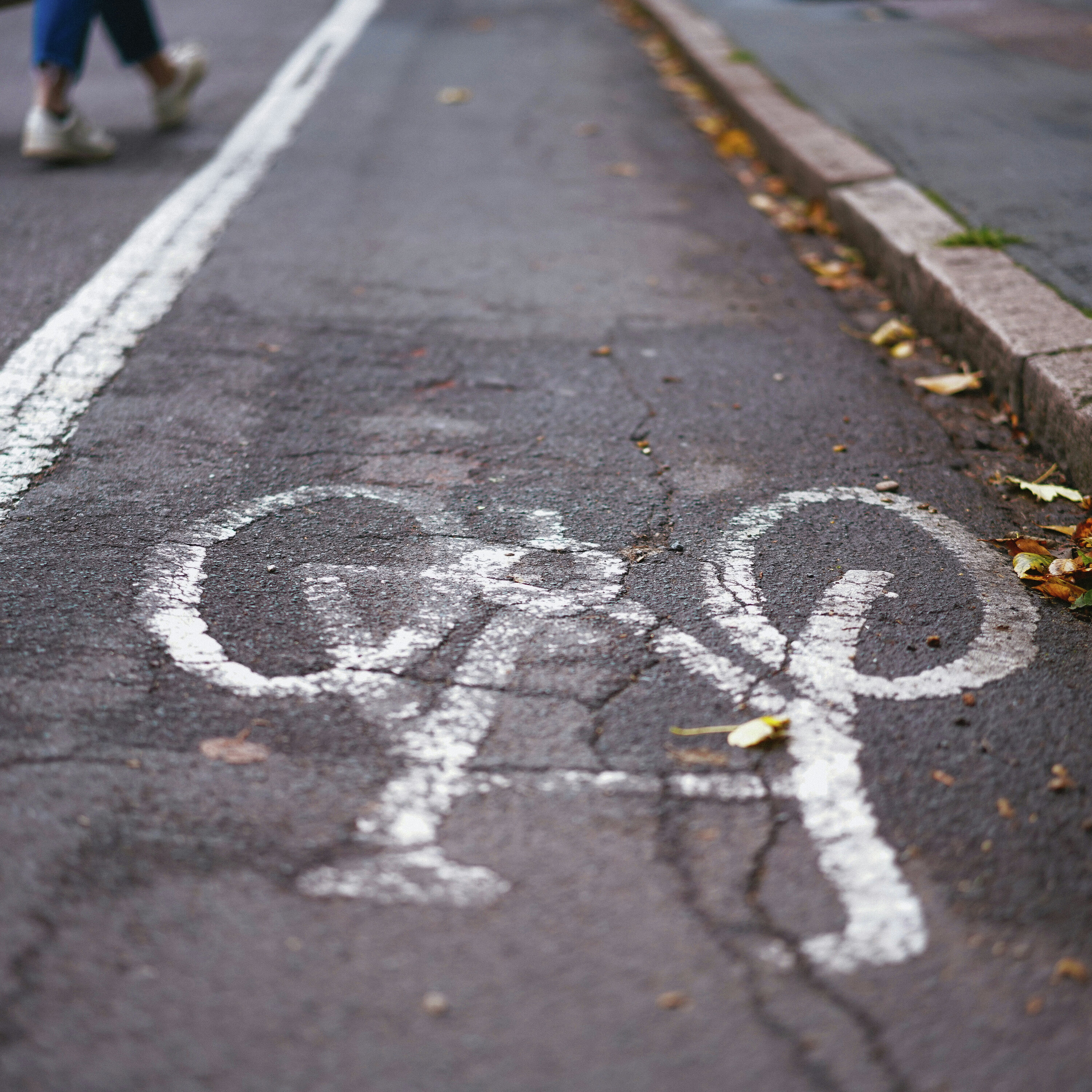 School Choice - Interest Rates - Bloor West Bike Lanes - How do you splurge?