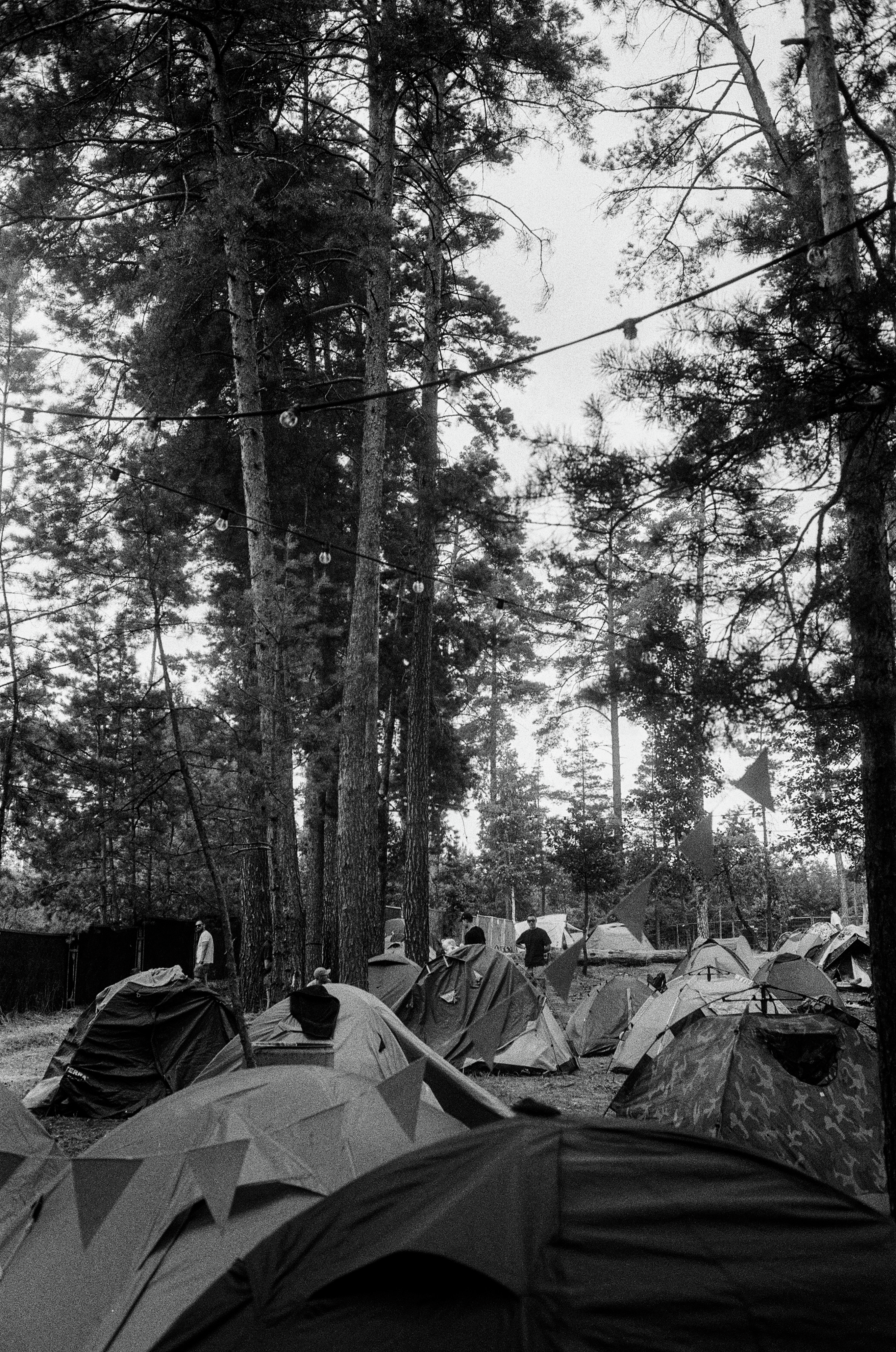Party for Two - Tech with Carmi Levy - Dufferin Grove encampment