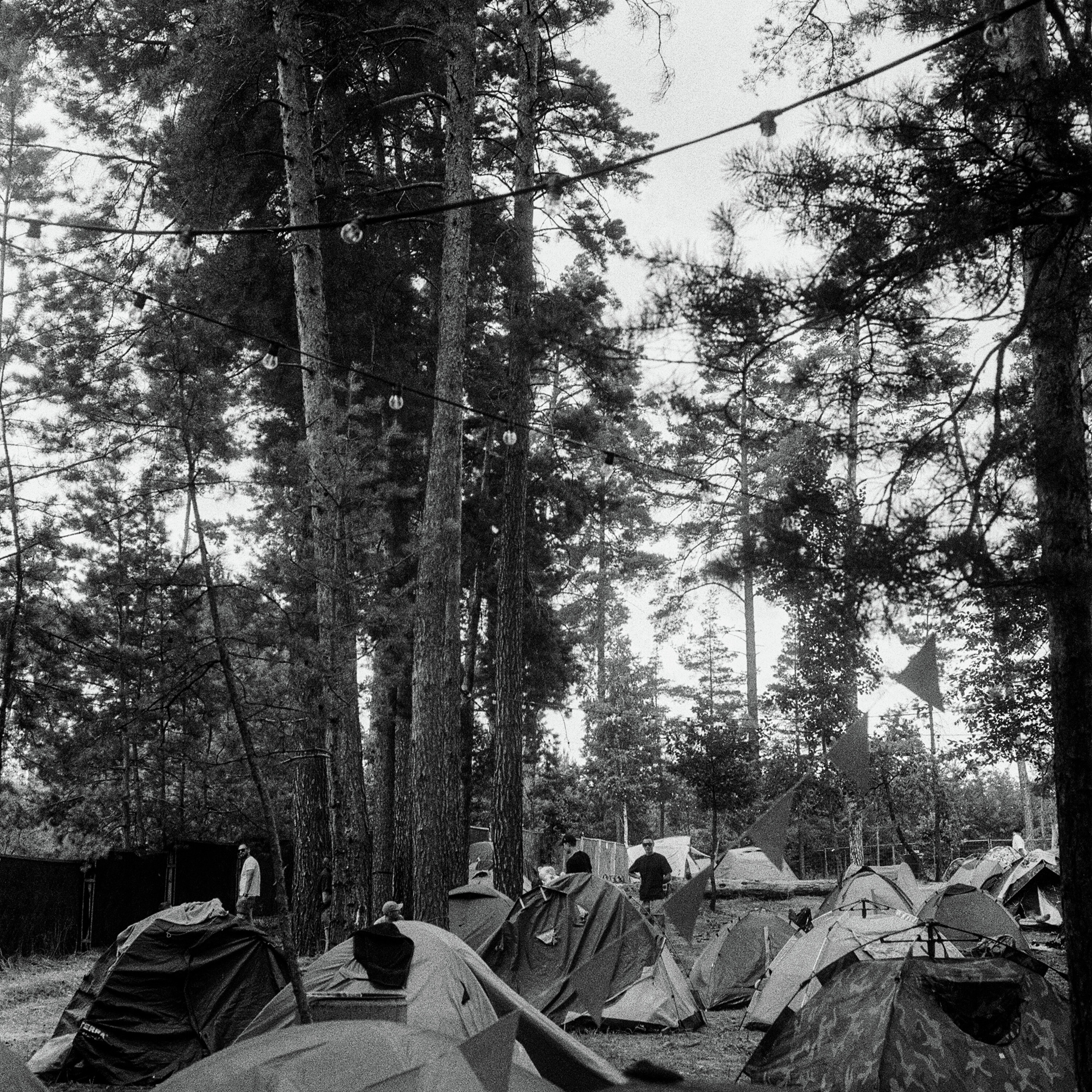 Party for Two - Tech with Carmi Levy - Dufferin Grove encampment