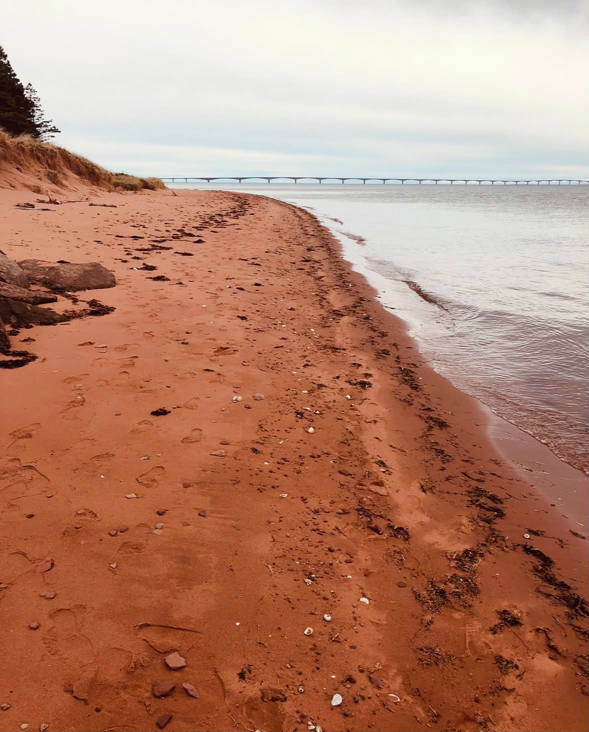 Huge New Netflix Series Currently Filming In The Maritimes!