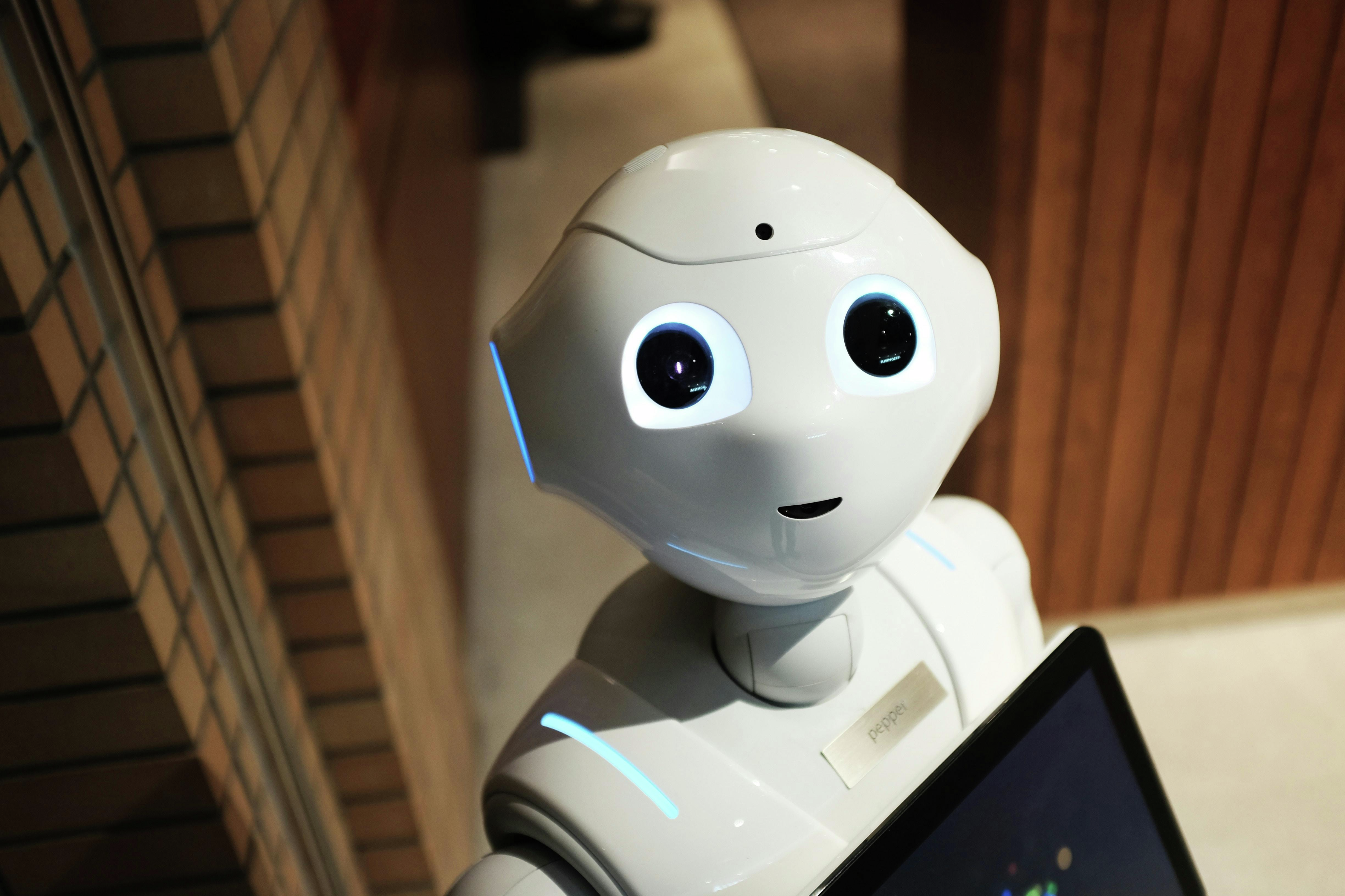 How a Montreal professor is using articifical intelligence to facilitate learning