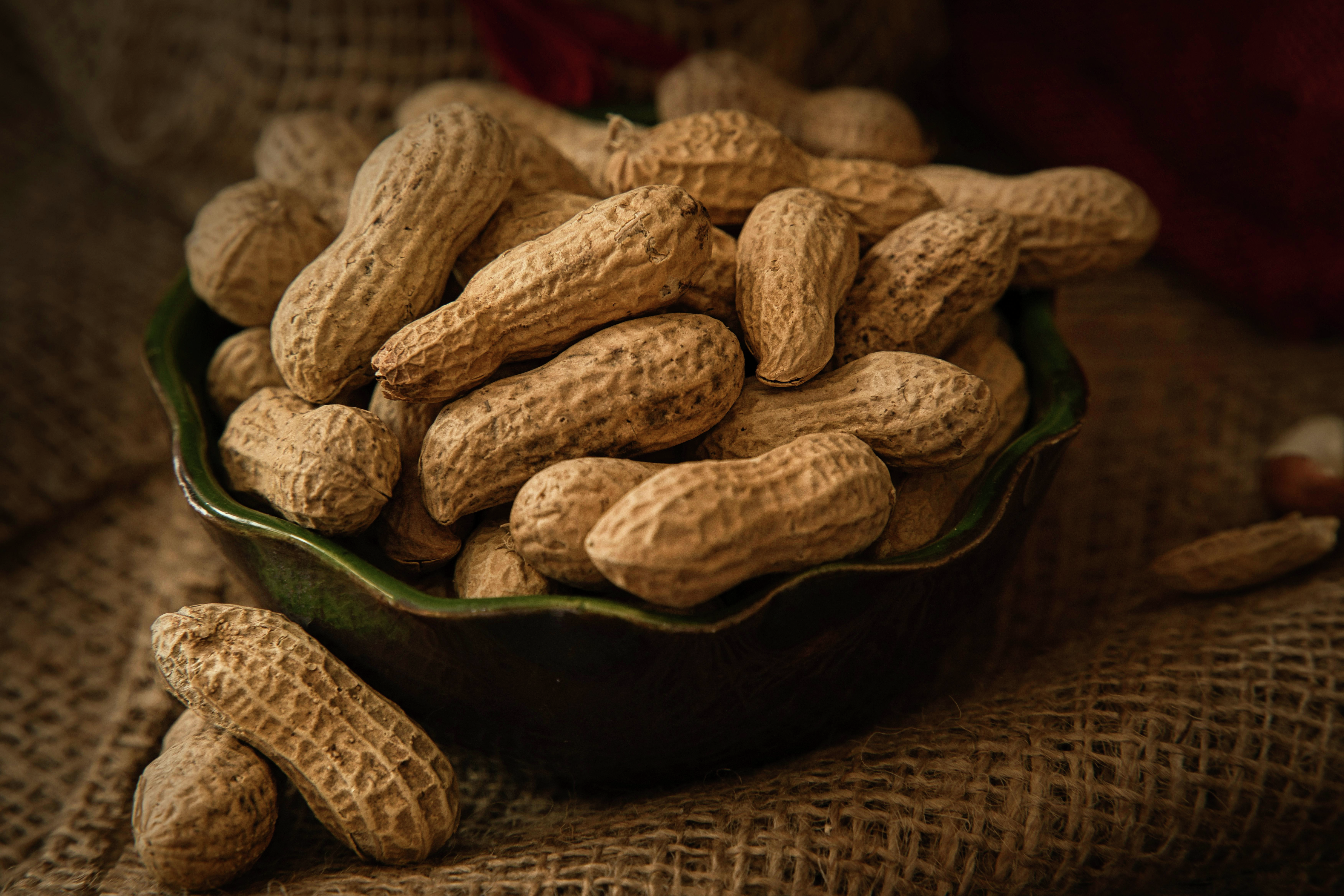 Could early exposure to peanuts reduce the risk of allergies?