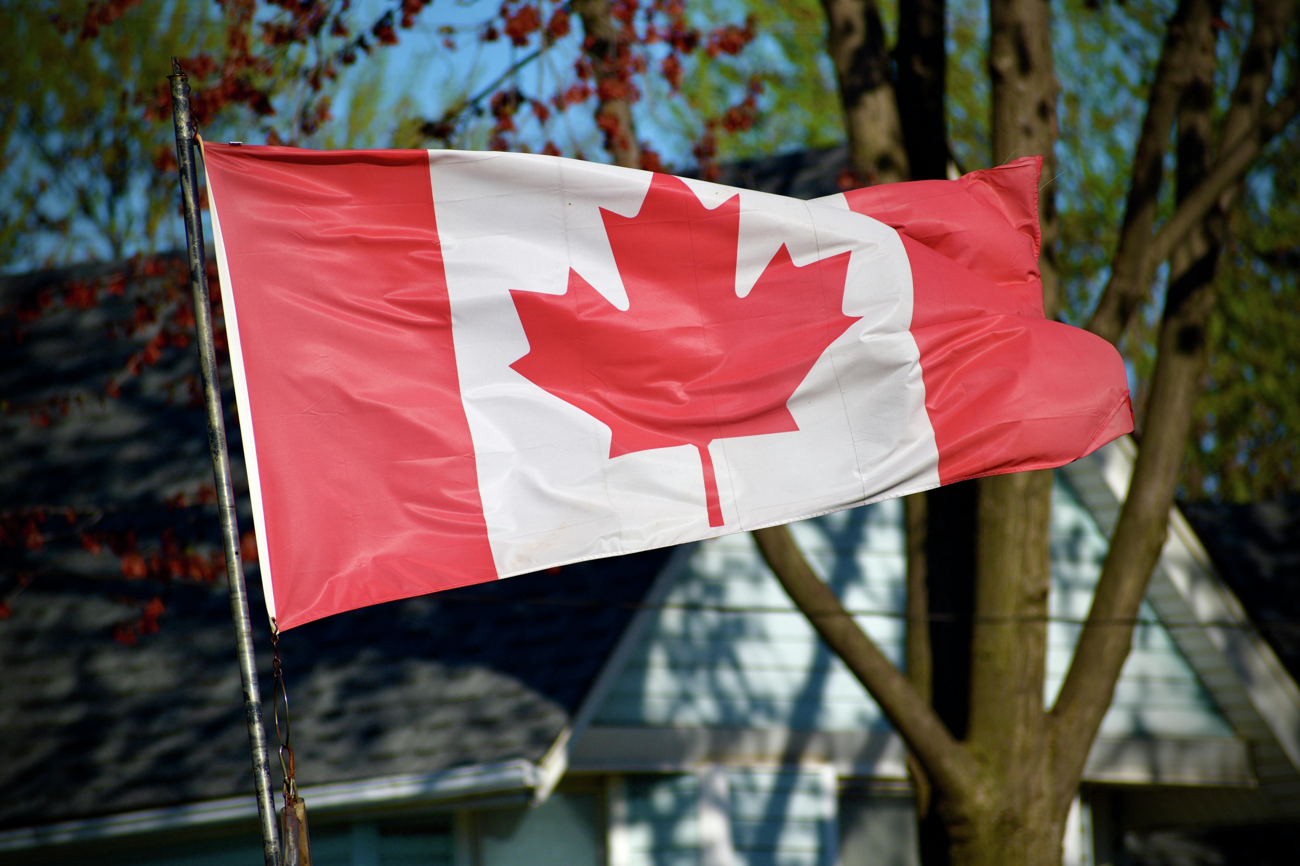 This DDO-based landscaping company wants to reward you for flying Canadian flags on your property