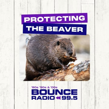 Protecting the Beaver with Brian Bourke...Ep 1