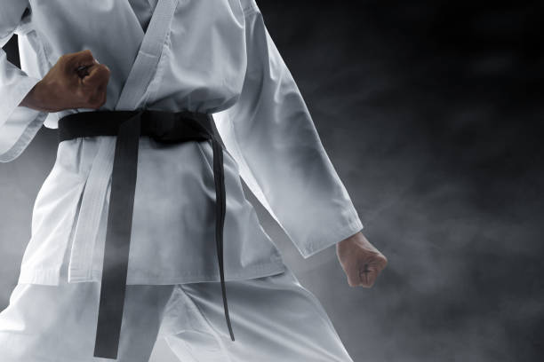Why karate competitions in Quebec have been cancelled
