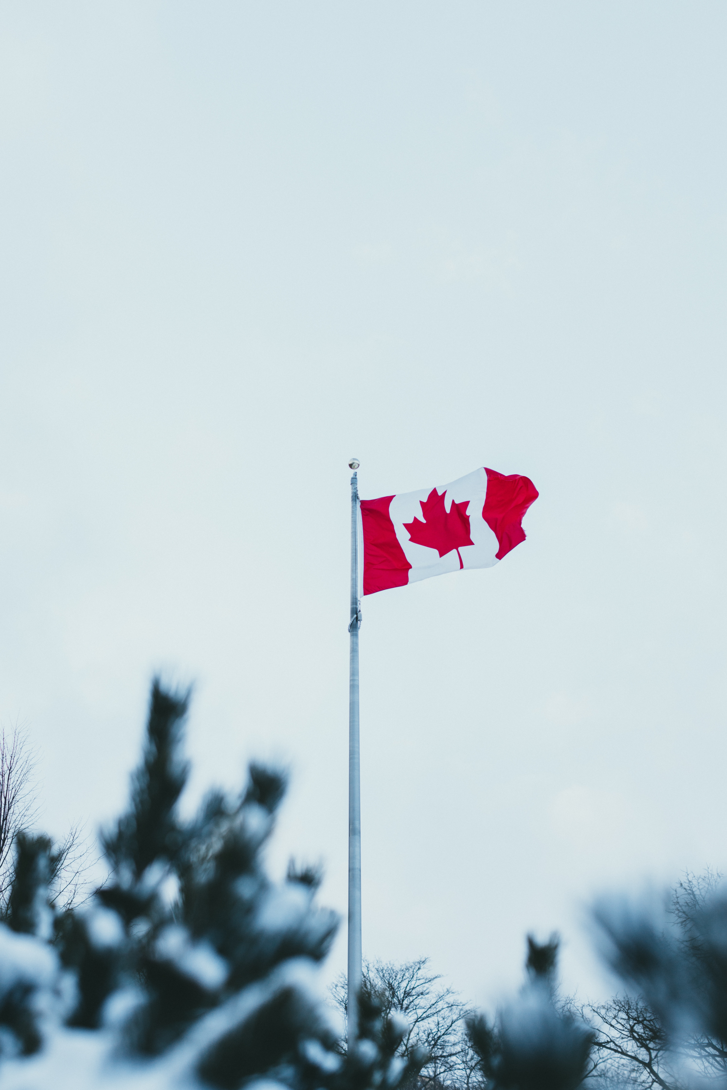 Immigration Canada delays creating unnecessary hurdles for new immigrants