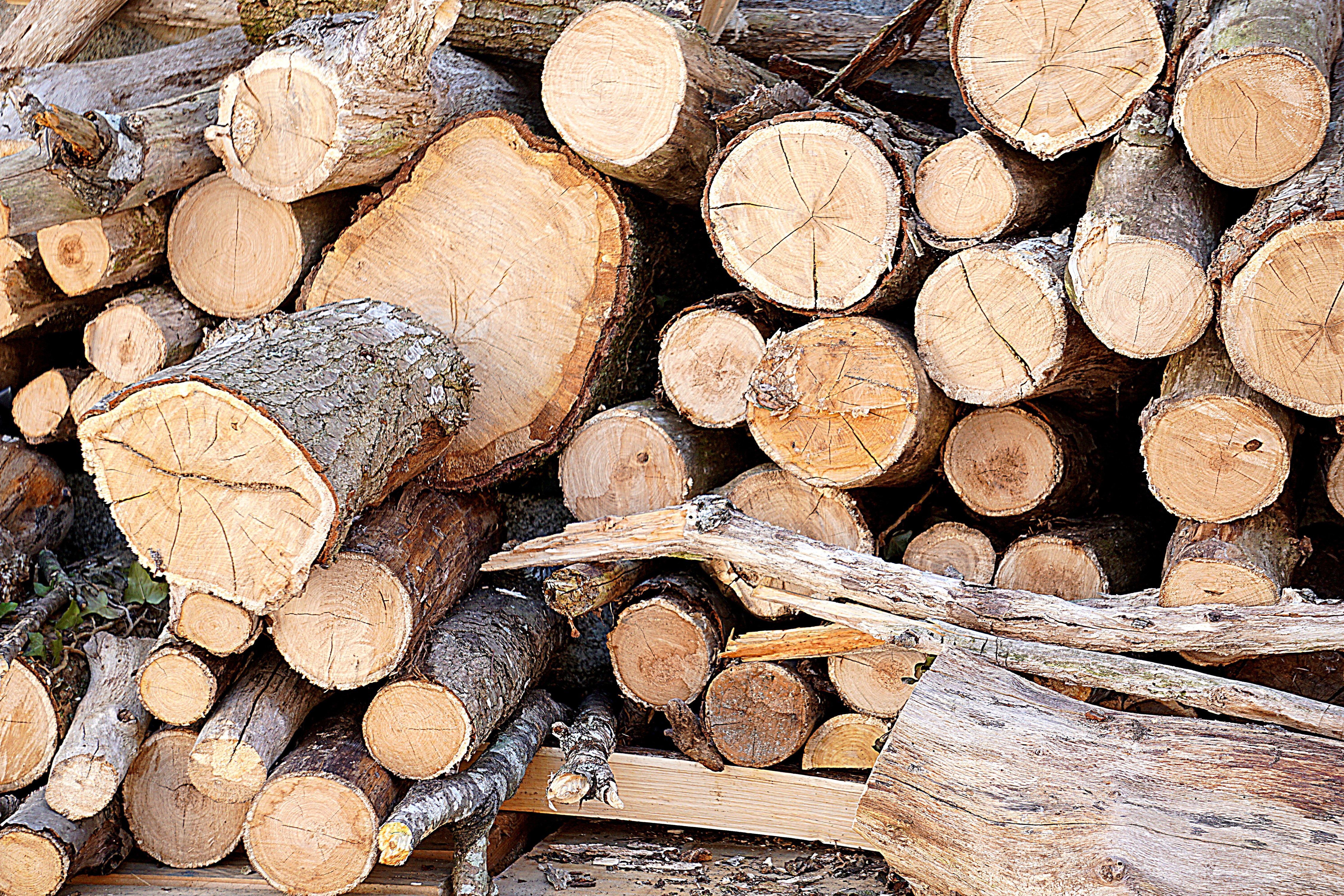Will the price of lumber keep plunging?