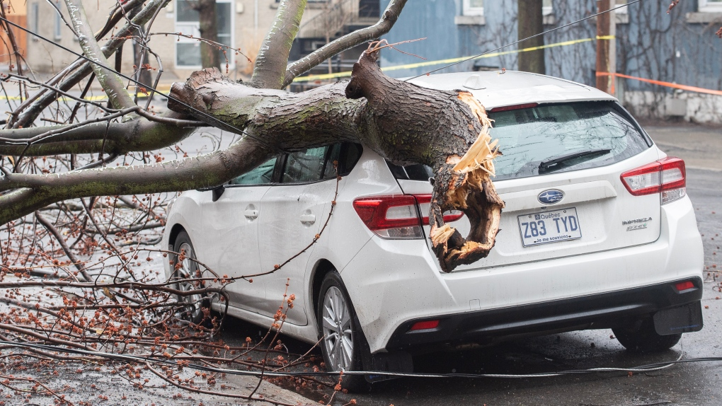 What claims can you make over damages caused by the Ice Storm?