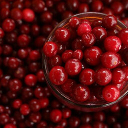 Quebec’s ‘cranberry king’ makes significant donation to McGill