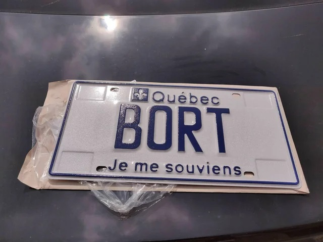 IN TRANSIT: An update on the "BORT" licence plate guy