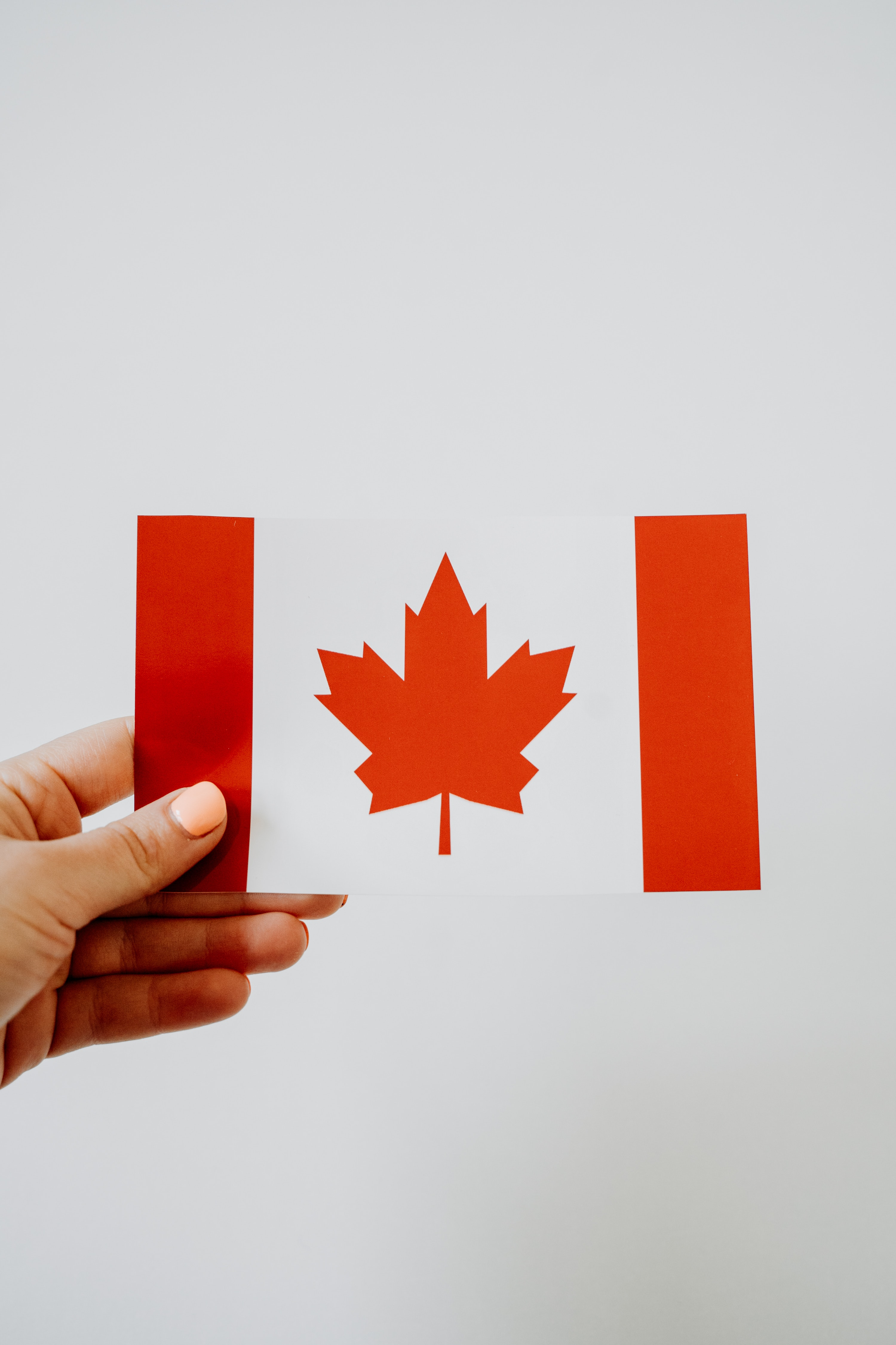 Ottawa stalls on measures to combat foreign interference