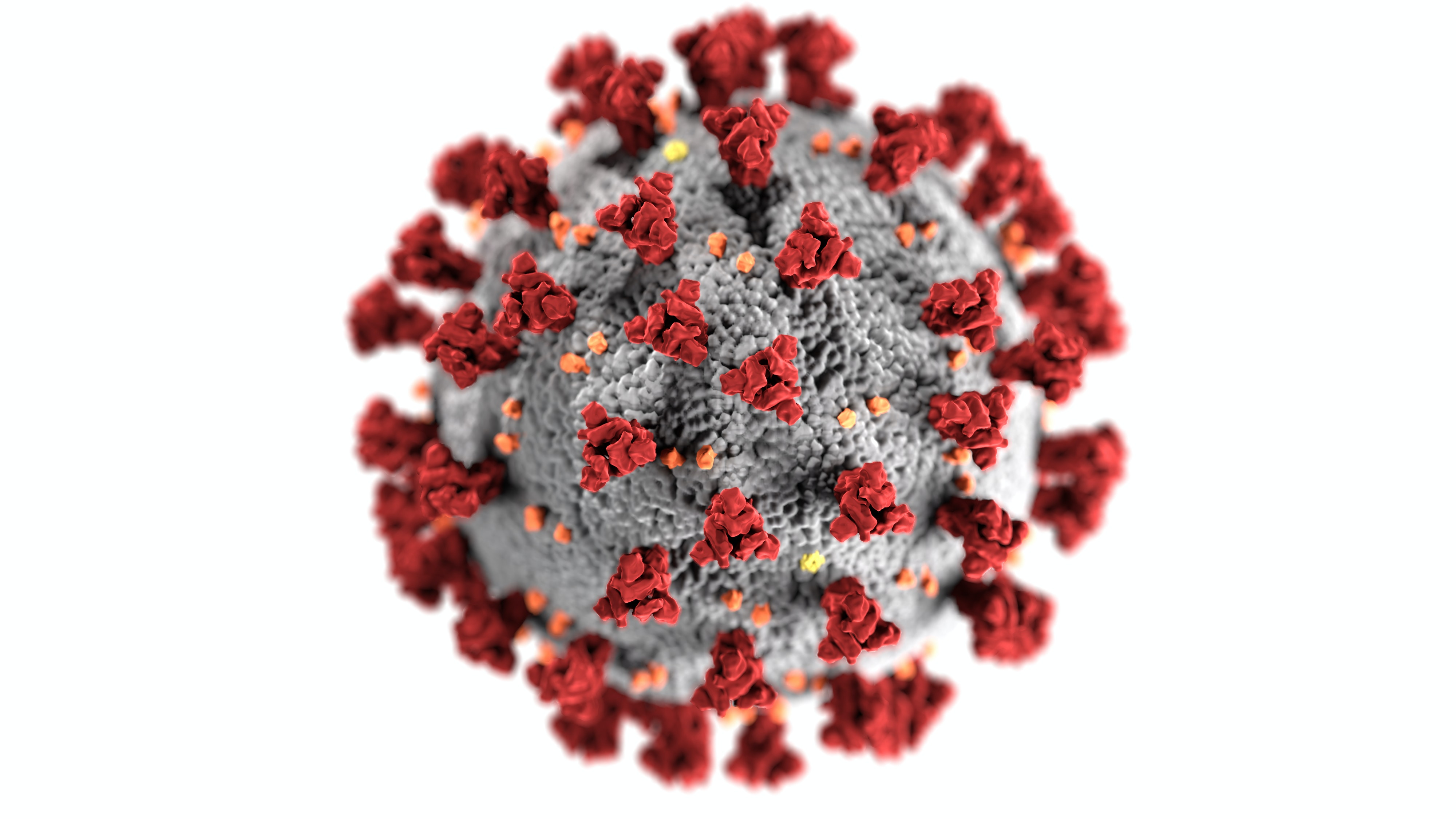 Quebec urges vaccination as COVID subvariant Kraken spreads
