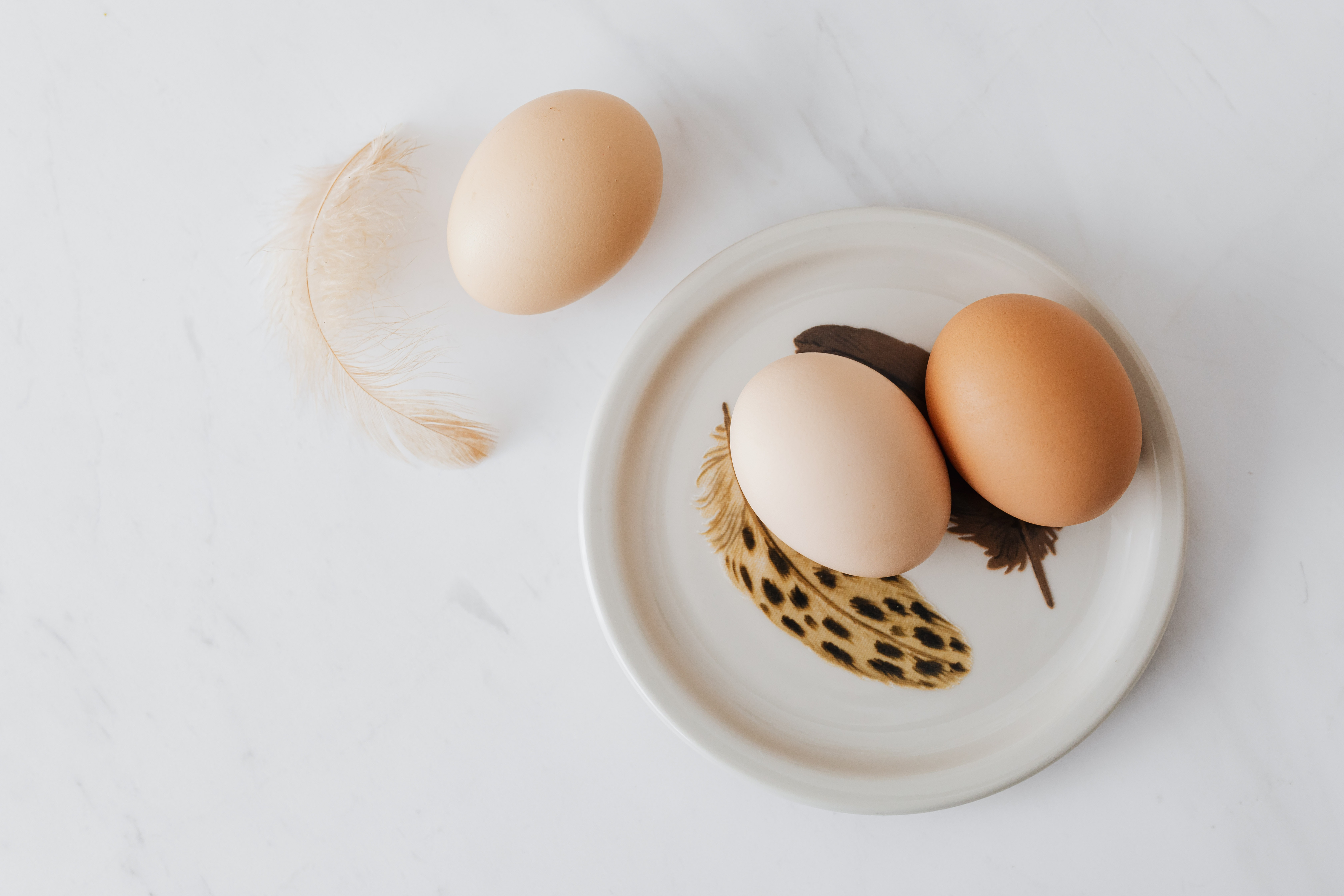Is there such a thing as good cholesterol or HDL ?