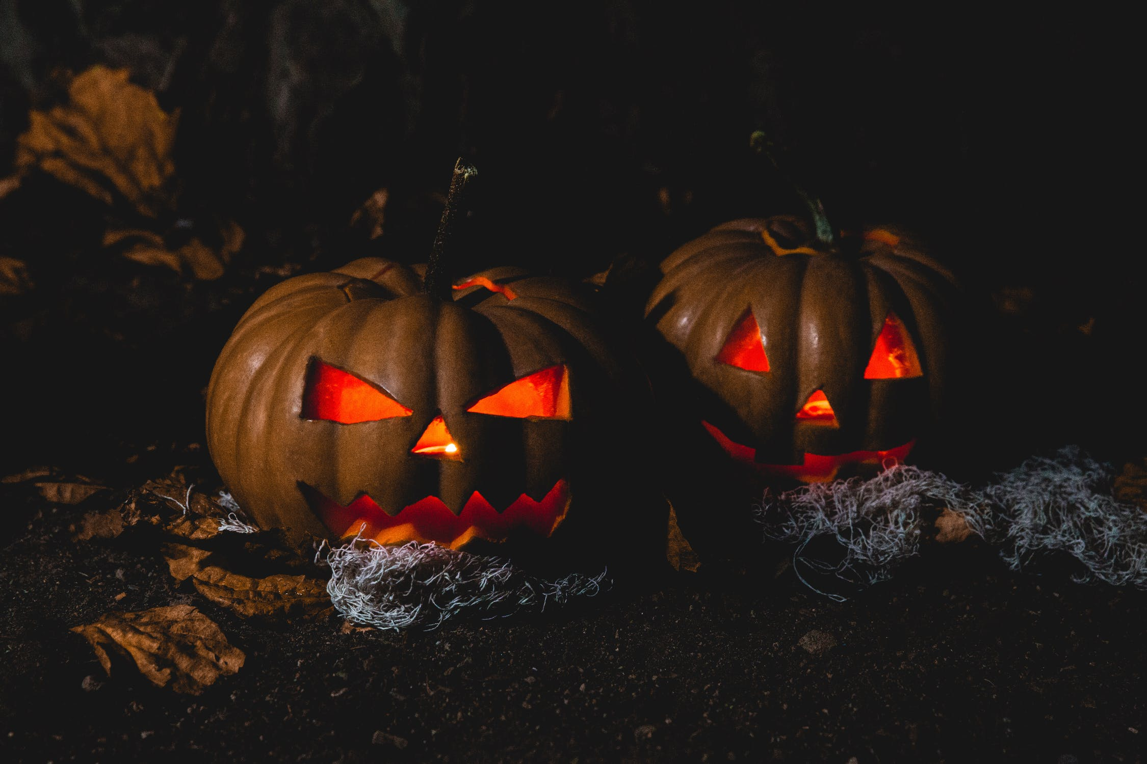 What to do with your pumpkins after Halloween