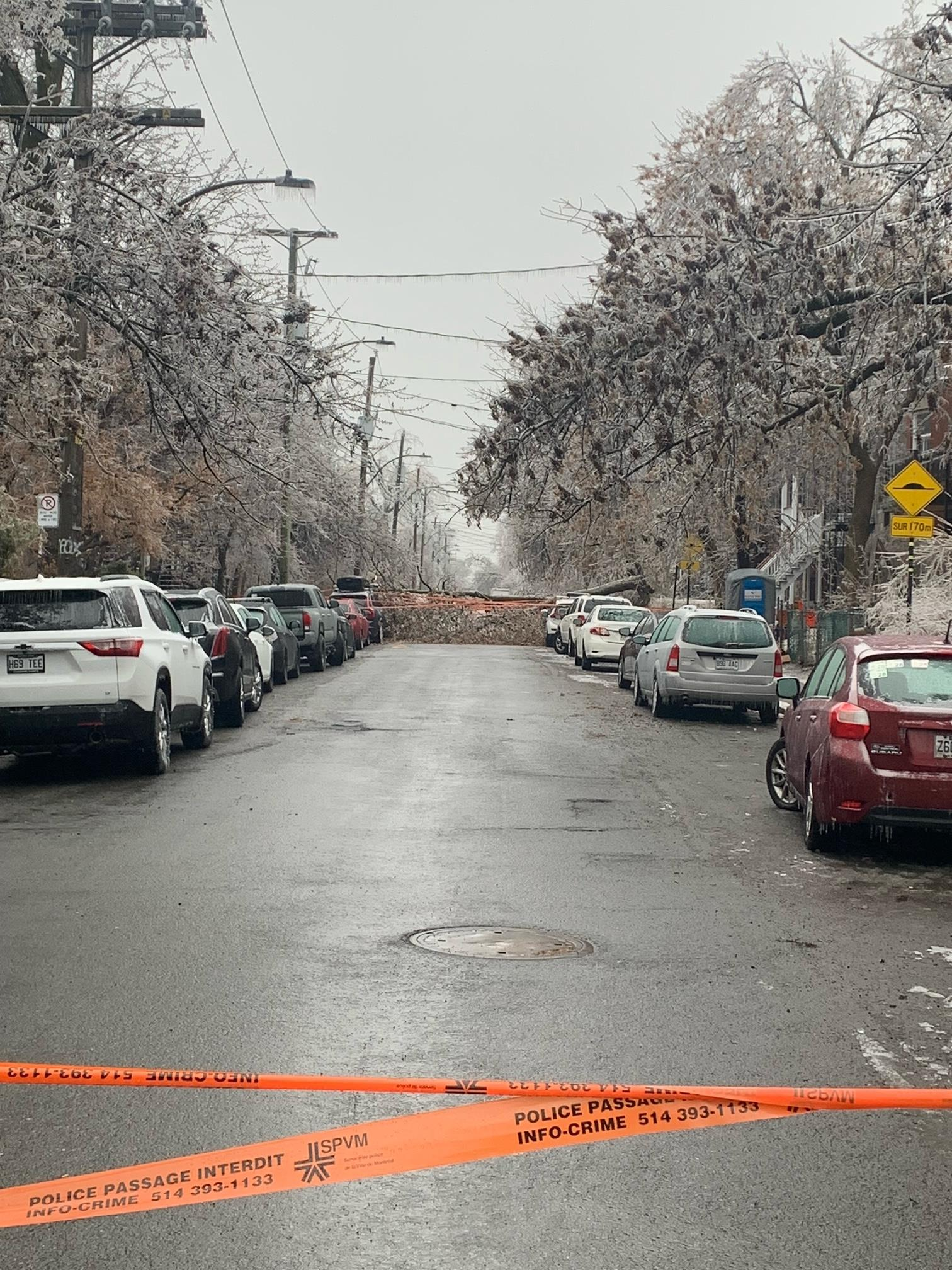 Quebec storm: Updating the situation in Verdun