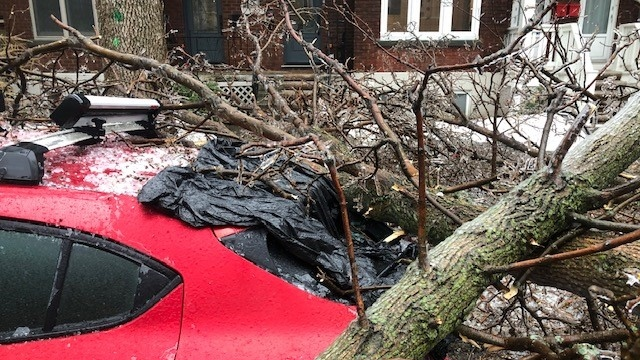 Quebec storm: Updating the situation in Saint-Laurent