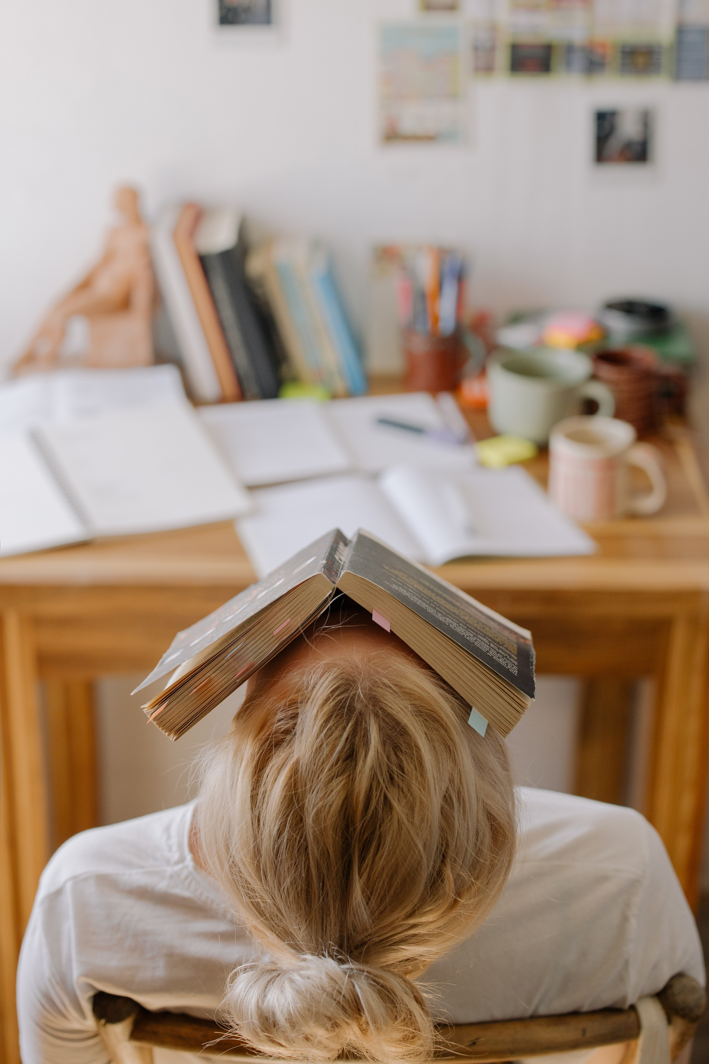 Should Post-Secondary Education be Free in Quebec?