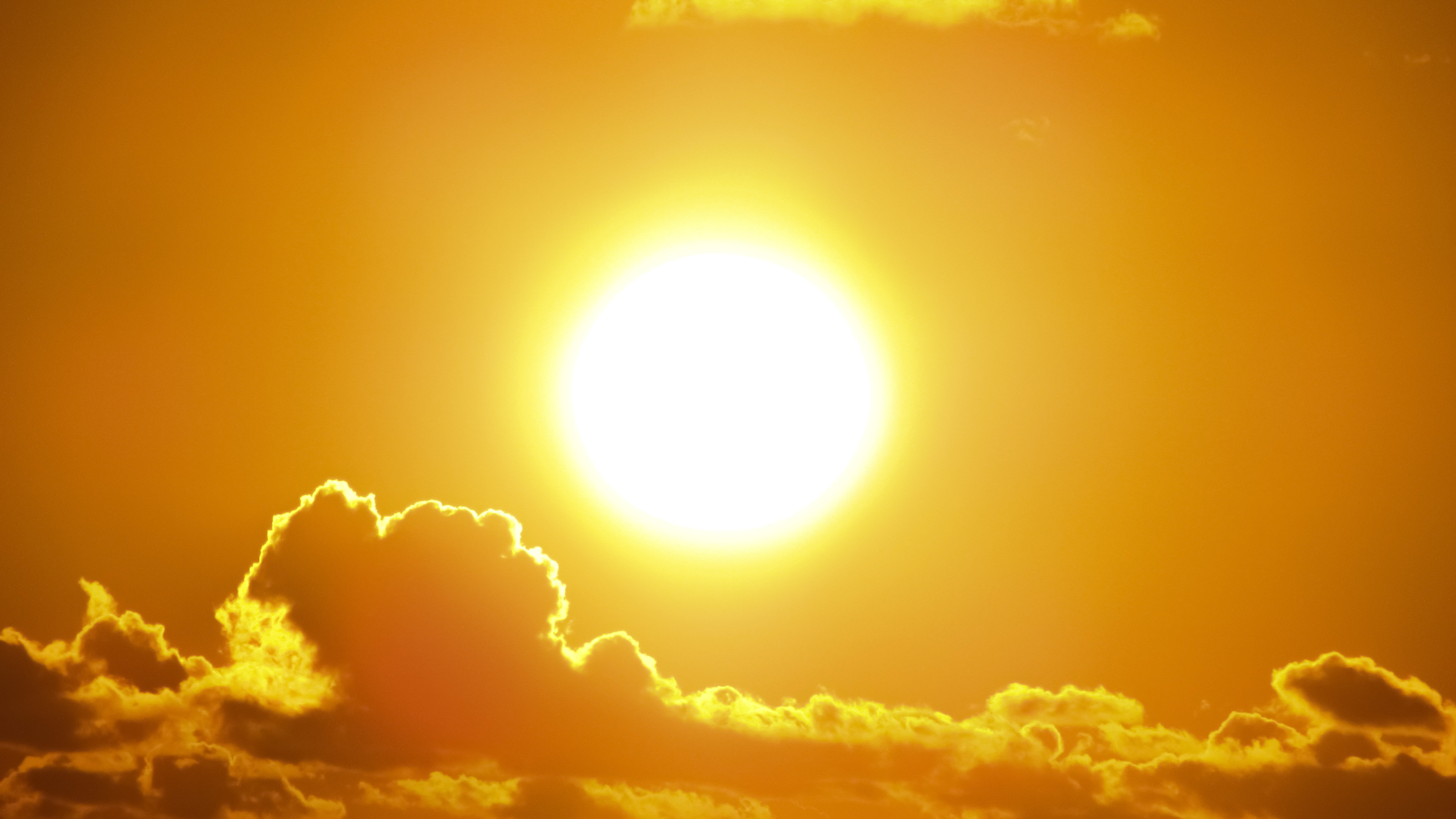 How to properly deal with heat waves?