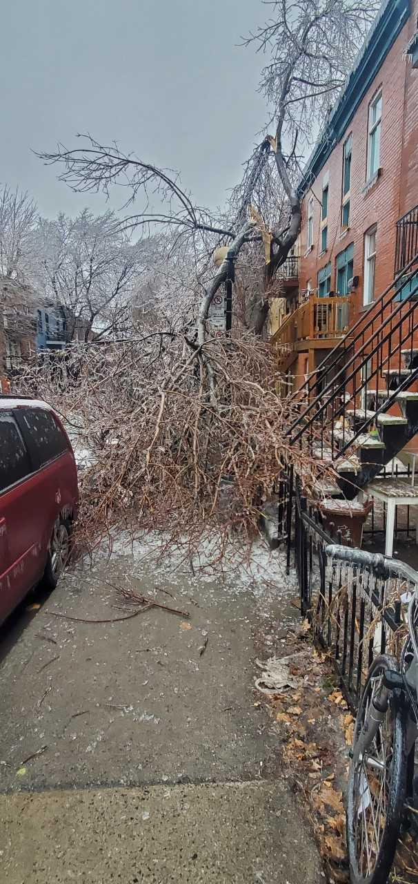 Quebec storm: Updating the situation in Côte Saint-Luc