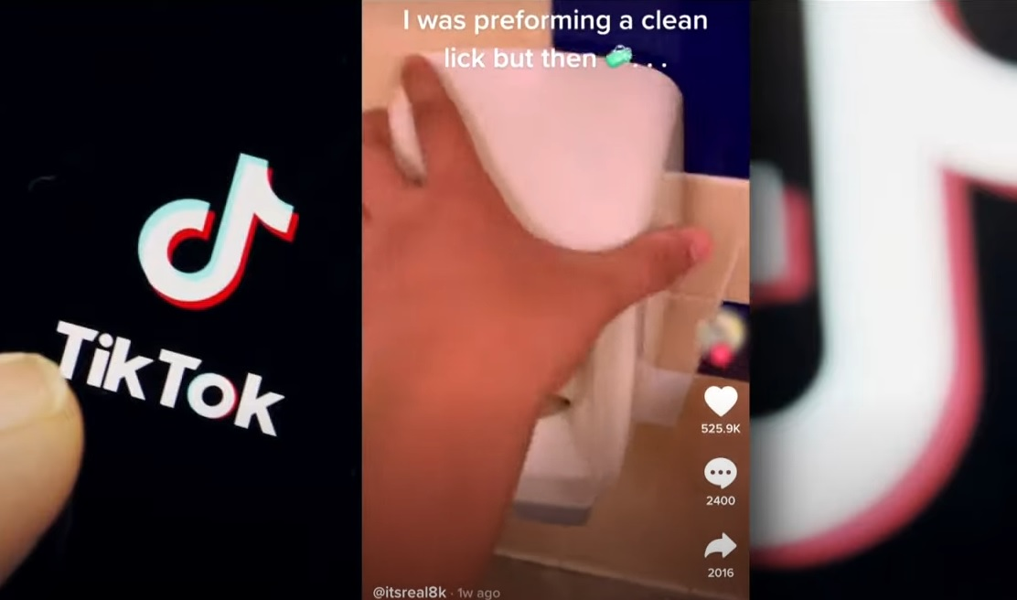 EMSB warns parents about Tik Tok “devious licks” challenge and "Squid Game" in the schoolyard