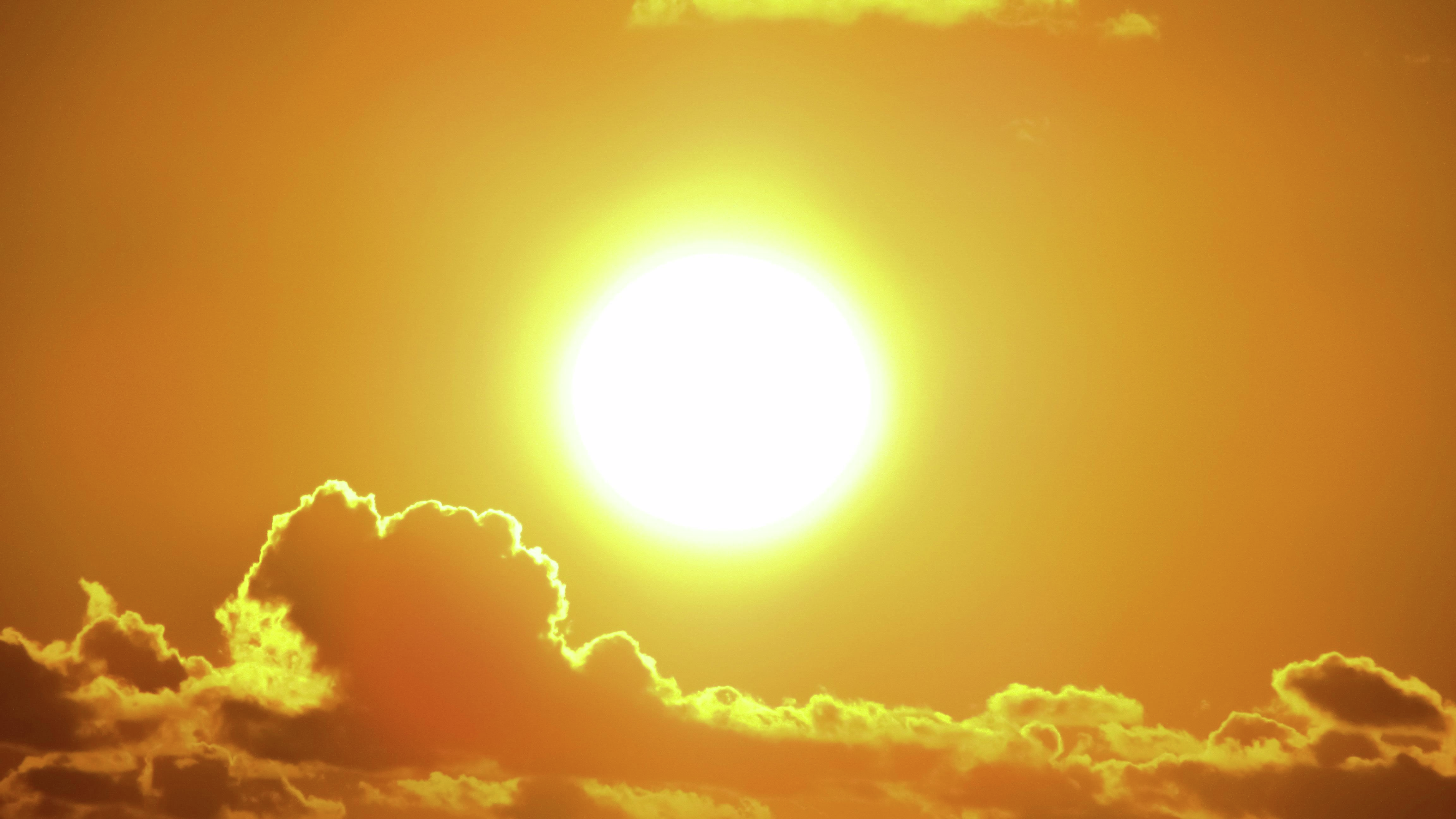 Here's how you can stay safe during this week’s heat wave Montreal