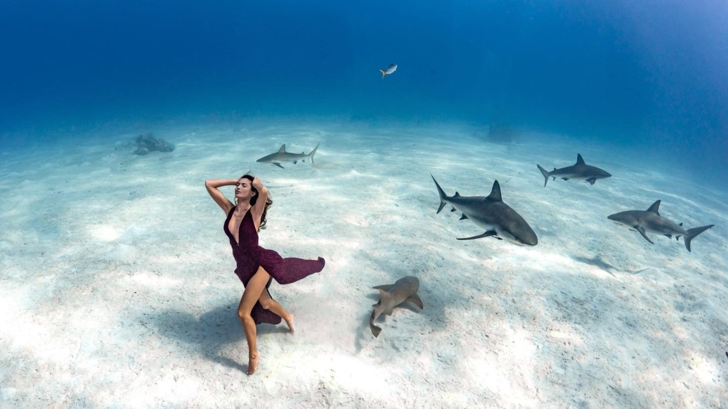 Montrealer breaks Guinness record for underwater photo shoot
