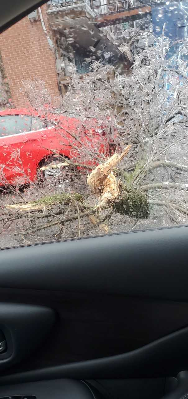 Quebec storm: Updating the situation in Pointe Claire