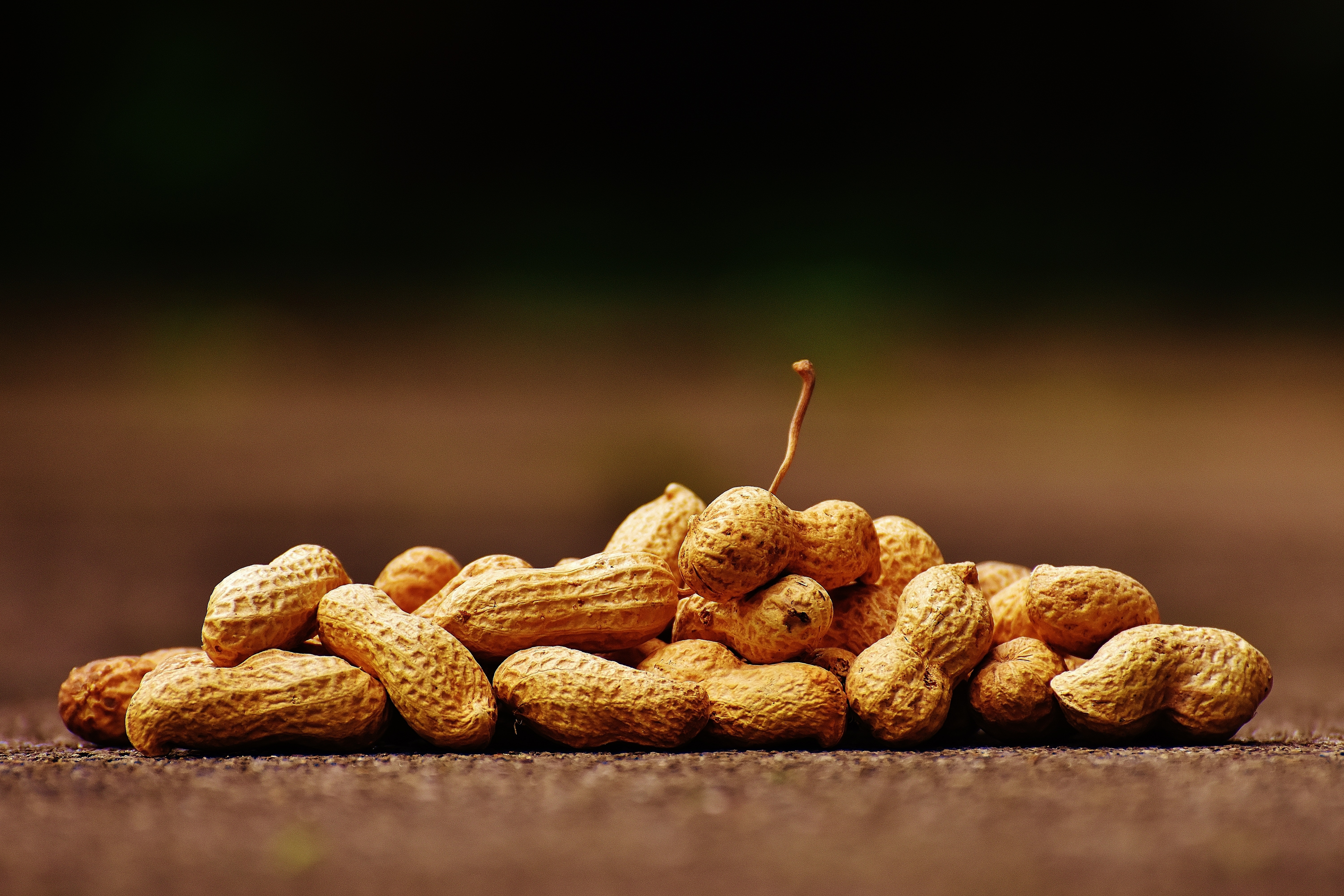 The peanut patch is promising for young children with peanut allergies