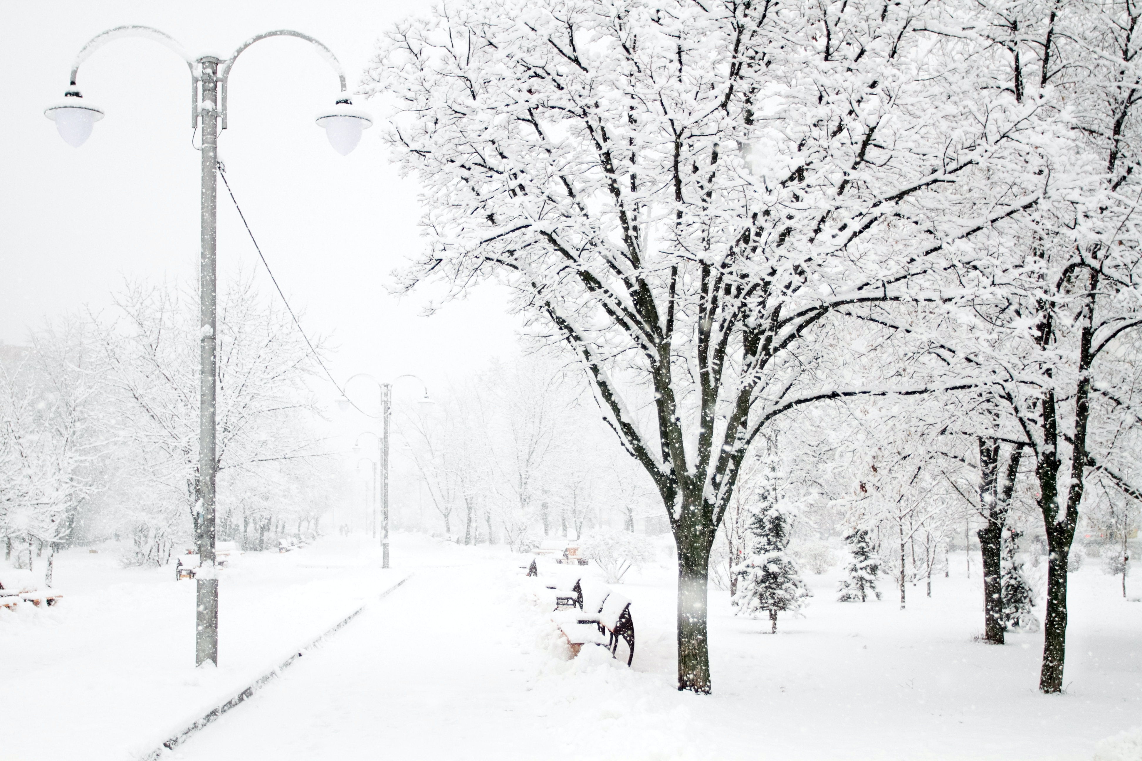 Will Montreal have a white Christmas this year?