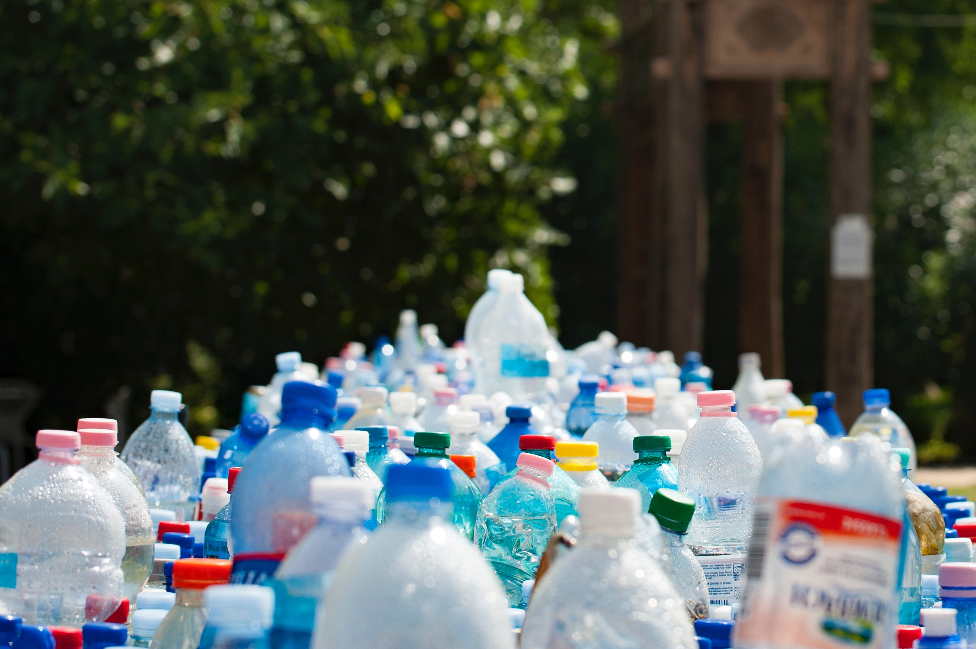 This app will help restaurants and help save the environment