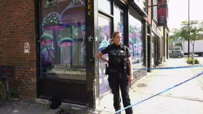 Owner of Montreal magic mushroom shop that was raided by police speaks out