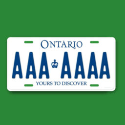OAW: Many motorists in Ottawa still driving with expired plates