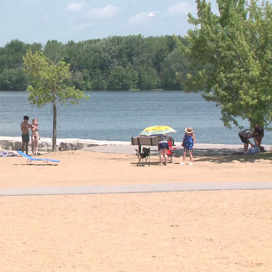 Heat wave continues: expert advice on keeping safe and cool