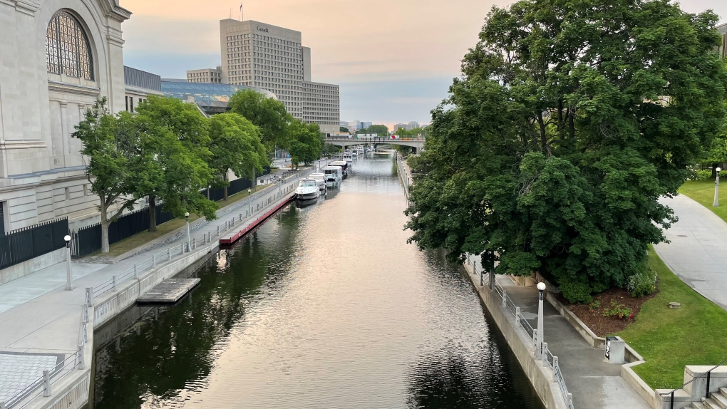 TMR "Canada to see a hotter summer?"  David Phillips Interview