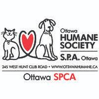 CFRA Live - Ottawa Humane Society kickstarts urgent search for foster volunteers