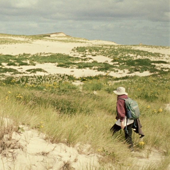 OAW: Why solitude can be good for you, and what makes it different from loneliness