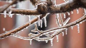 CFRA Live - As the Spring snow gets shovelled away, Ottawa braces for freezing rain