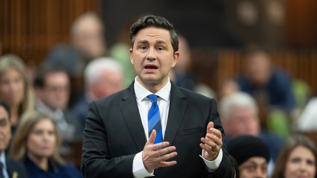 TMR - Pierre Poilievre Interview "When is the government going to take my common sense plan to bring in doctors to Canada. ""