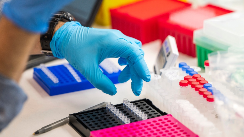 What a bankruptcy filing could do to your DNA