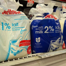 Pour Decision: Say Goodbye to Milk Bags!