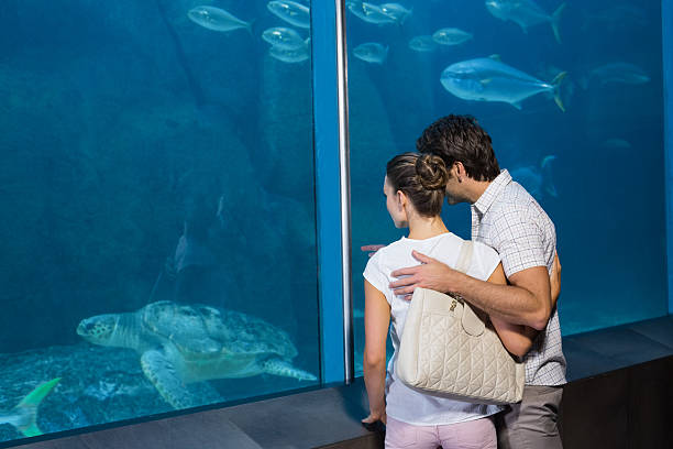 Halifax Is FINALLY Getting An Aquarium - Set To Open This Year! 