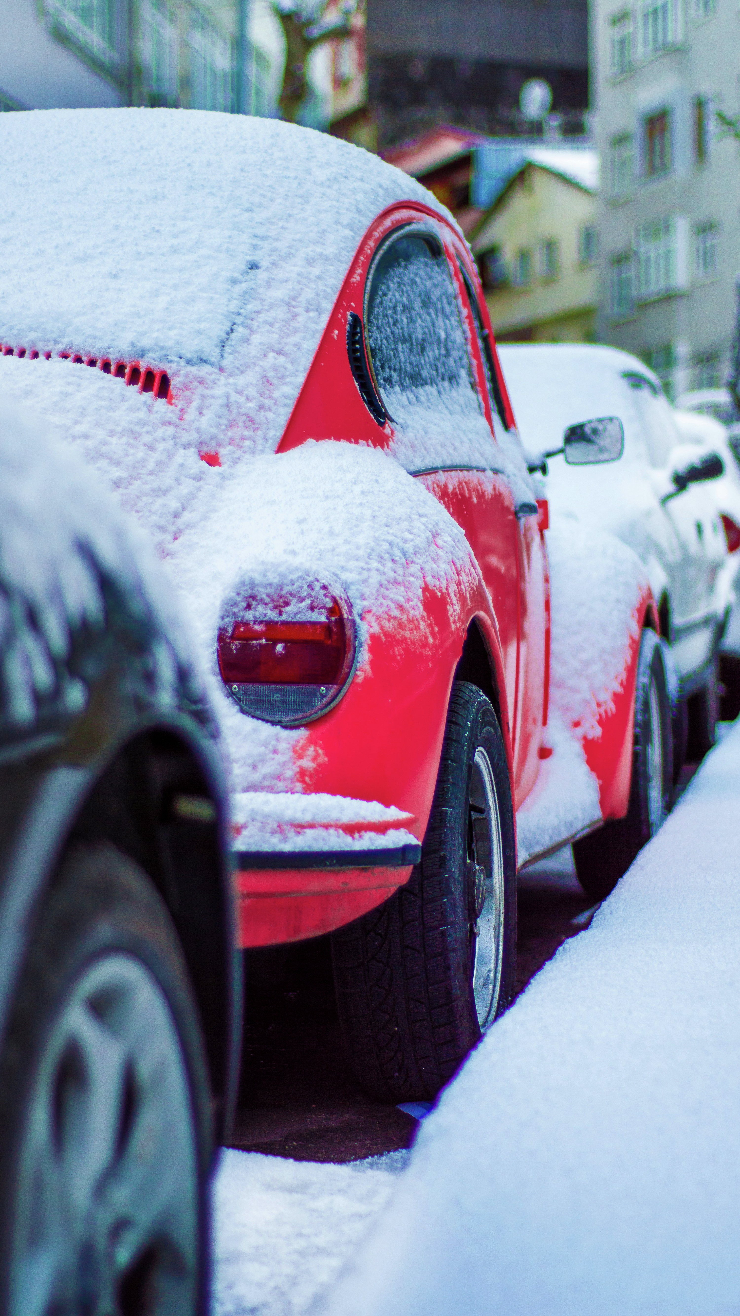 Here’s When You Should Be Switching To Winter Tires In Halifax!
