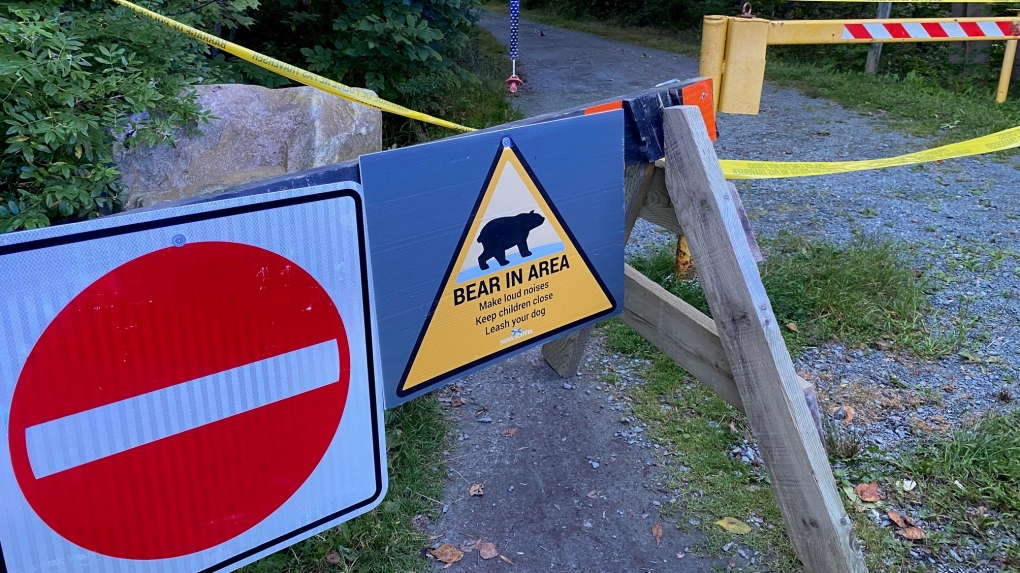 Possible Bear Attack At Popular Halifax-Area Walking Trail?!