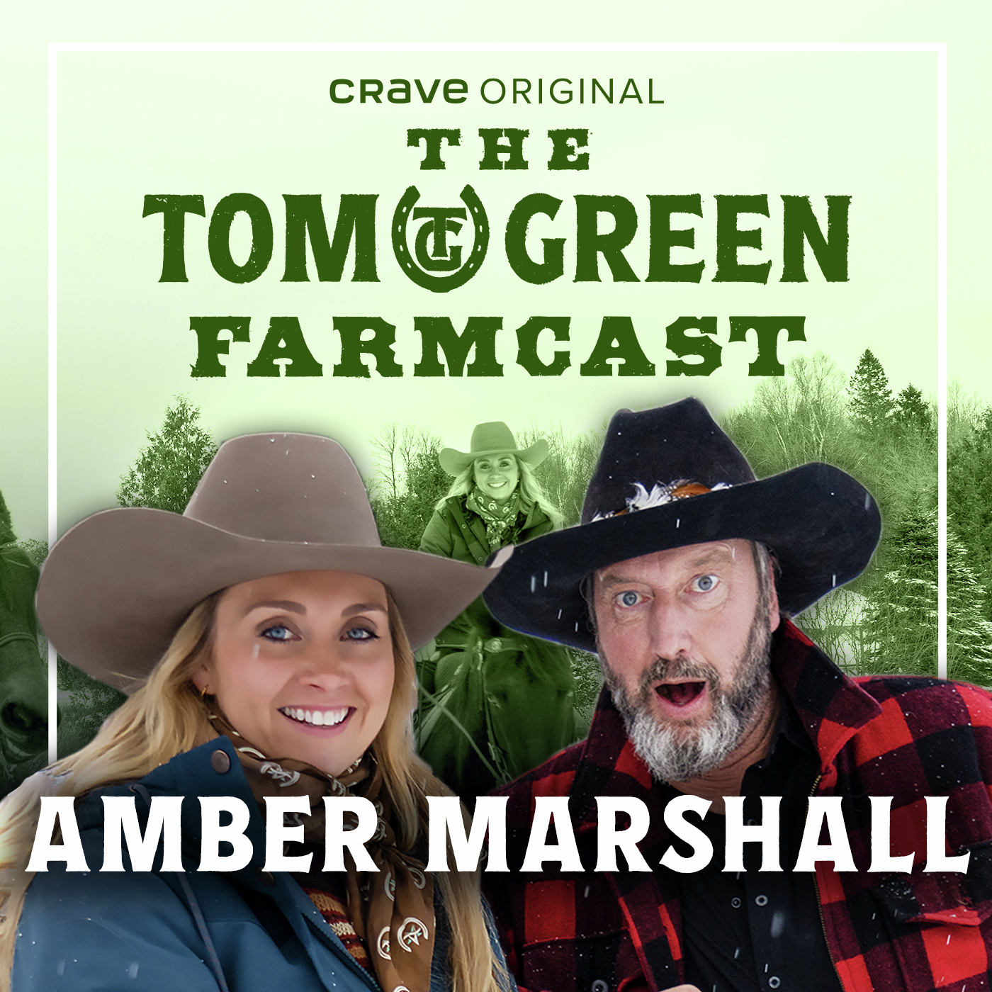 Amber Marshall on Heartland and Horses episode artwork